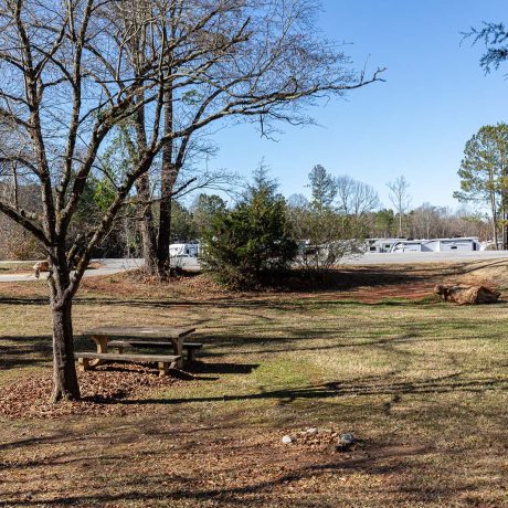 open grassy area with picnic table